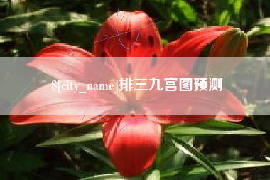 丽江排三九宫图预测
