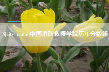 丽江中国消防救援学院历年分数线