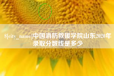 丽江中国消防救援学院山东2020年录取分数线是多少