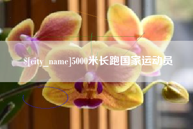 丽江5000米长跑国家运动员