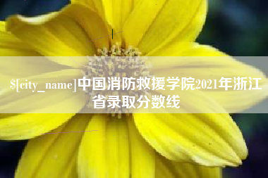 丽江中国消防救援学院2021年浙江省录取分数线