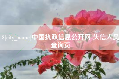 丽江中国执政信息公开网-失信人员查询页