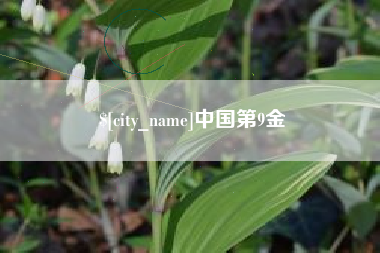 丽江中国第9金