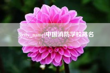 丽江中国消防学校排名