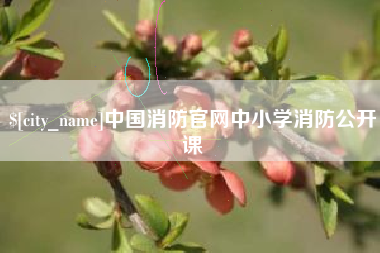 丽江中国消防官网中小学消防公开课