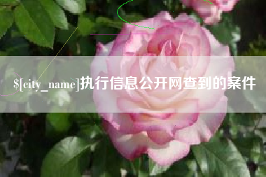 丽江执行信息公开网查到的案件