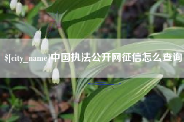 丽江中国执法公开网征信怎么查询