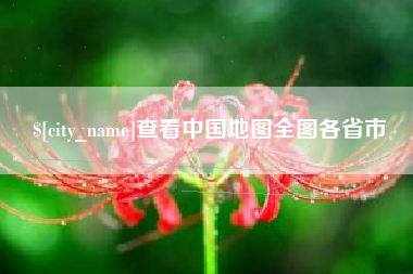 丽江查看中国地图全图各省市