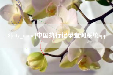 丽江中国执行记录查询系统app
