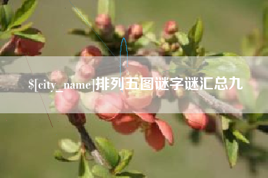 丽江排列五图谜字谜汇总九