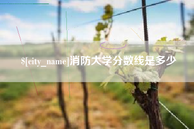 丽江消防大学分数线是多少