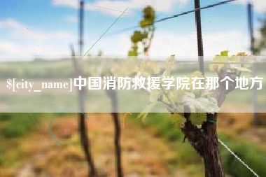 丽江中国消防救援学院在那个地方