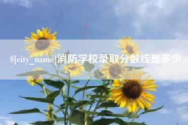 丽江消防学校录取分数线是多少
