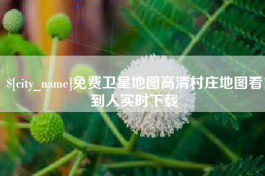 丽江免费卫星地图高清村庄地图看到人实时下载