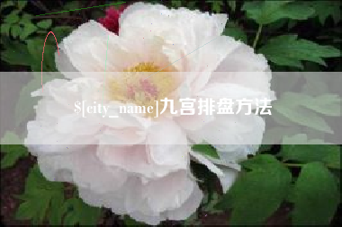 丽江九宫排盘方法