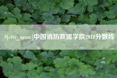 丽江中国消防救援学院2018分数线