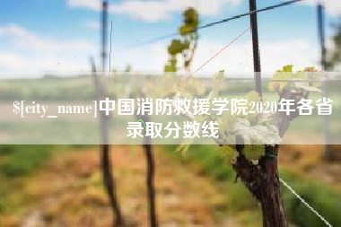 丽江中国消防救援学院2020年各省录取分数线