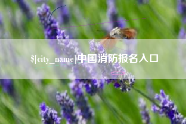 丽江中国消防报名入口