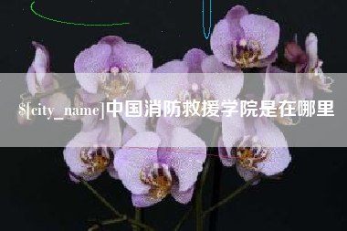 丽江中国消防救援学院是在哪里