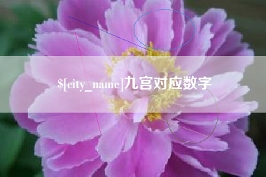 丽江九宫对应数字