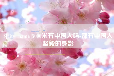 丽江5000米有中国人吗-都有中国人坚毅的身影