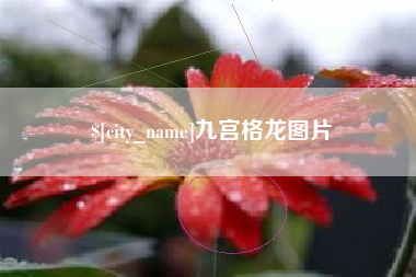 丽江九宫格龙图片