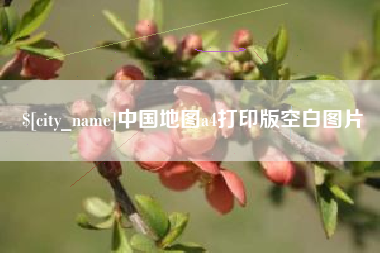 丽江中国地图a4打印版空白图片
