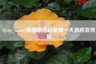 丽江我国消防日是哪一天消防宣传日