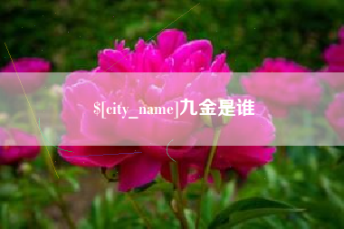 丽江九金是谁