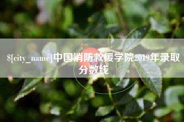 丽江中国消防救援学院2019年录取分数线
