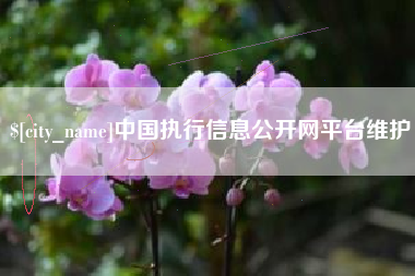 丽江中国执行信息公开网平台维护