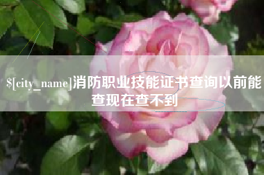 丽江消防职业技能证书查询以前能查现在查不到