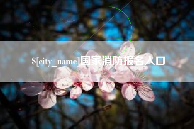 丽江国家消防报名入口
