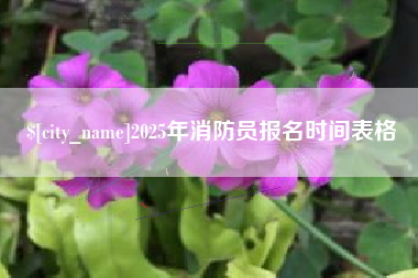 丽江2025年消防员报名时间表格