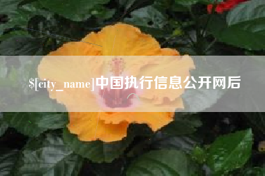 丽江中国执行信息公开网后