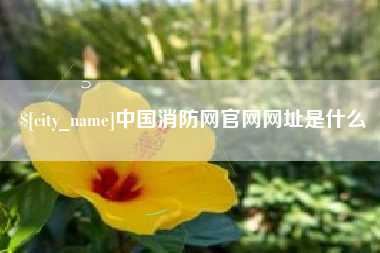 丽江中国消防网官网网址是什么