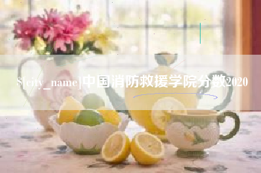 丽江中国消防救援学院分数2020