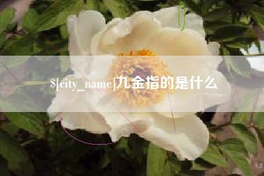 丽江九金指的是什么