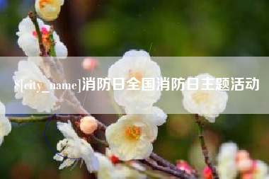 丽江消防日全国消防日主题活动
