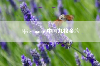 丽江中国九枚金牌