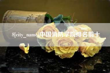 丽江中国消防学院排名前十