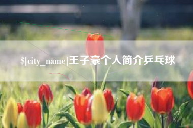 丽江王子豪个人简介乒乓球