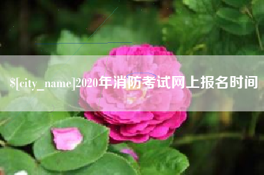 丽江2020年消防考试网上报名时间