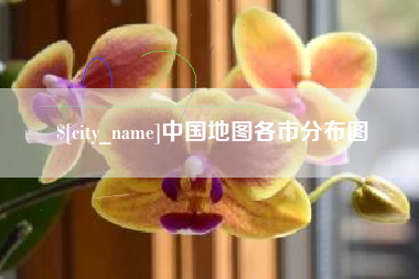 丽江中国地图各市分布图