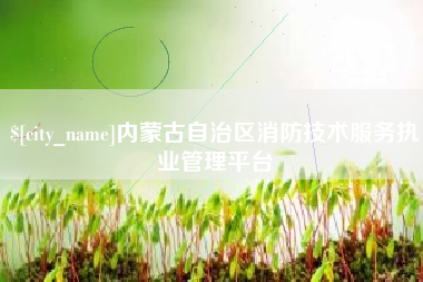 丽江内蒙古自治区消防技术服务执业管理平台