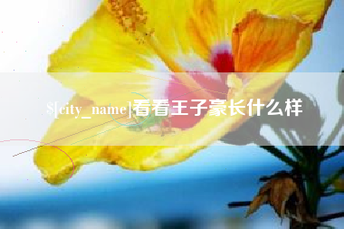 丽江看看王子豪长什么样