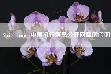 丽江中国执行信息公开网真的假的