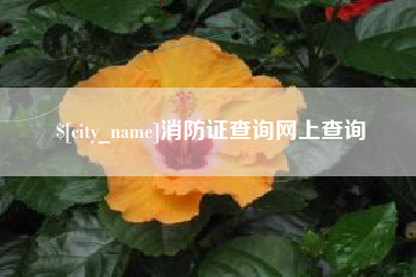 丽江消防证查询网上查询