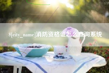 丽江消防资格证怎么查询系统