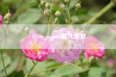 丽江第九金是
